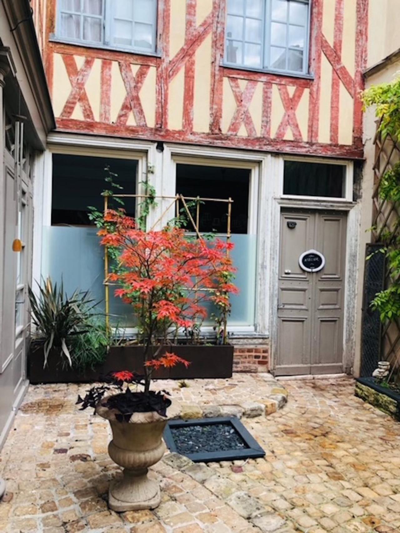 Atelier Des Glycines, Troyes Bouchon De Champagne, Sublime Site Patrimonial Apartment Exterior photo